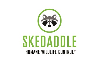 Skedaddle